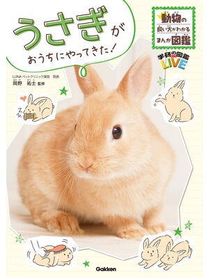 うさぎがおうちにやってきた! - ebook